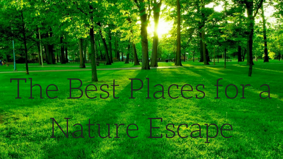 The Best Places for a Nature Escape Julia Sotnykova
